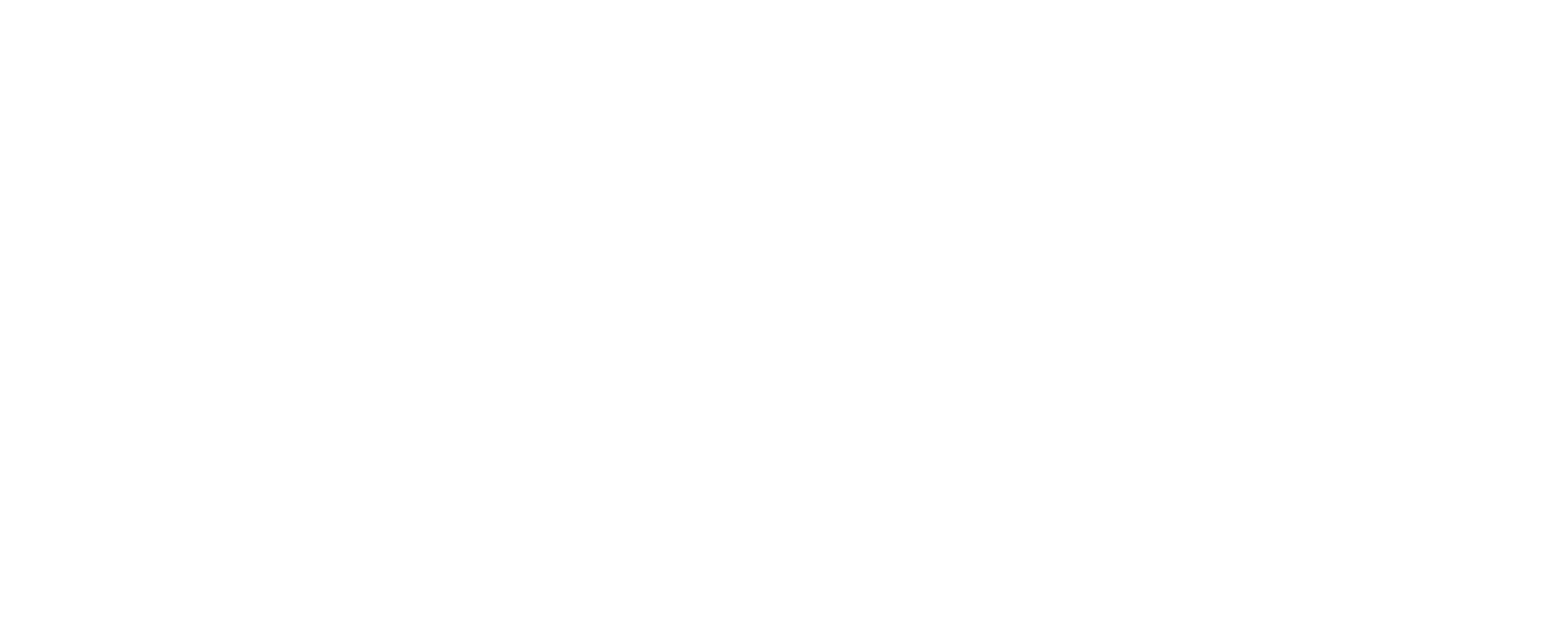 PeakRelations Logo White